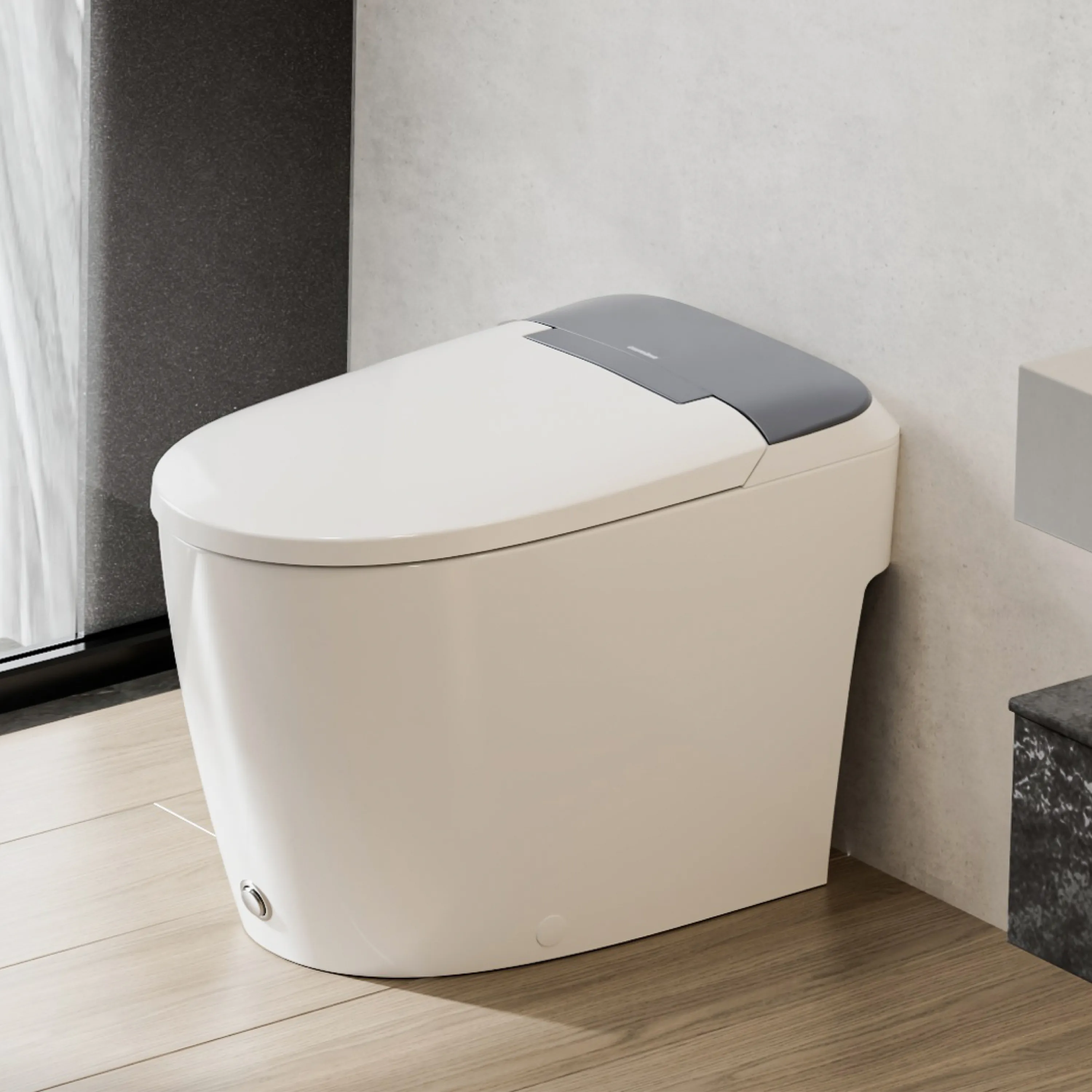 One Piece Toilets